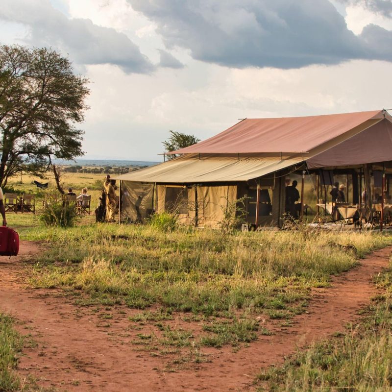 Accomodation in serengeti